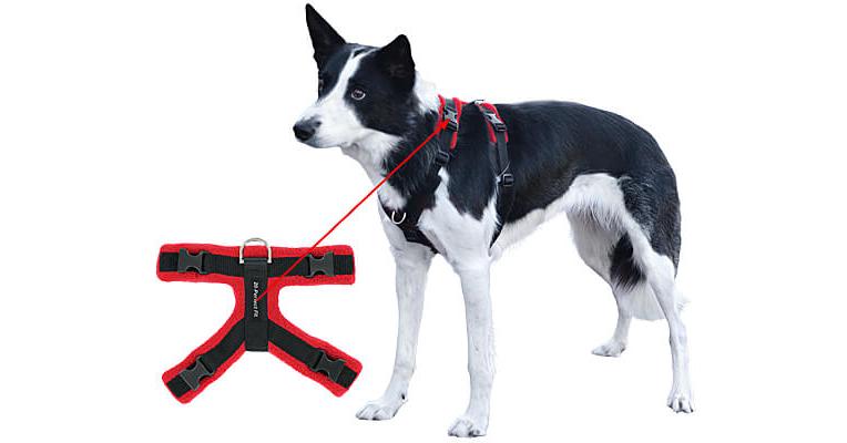 Perfect shop dog harness